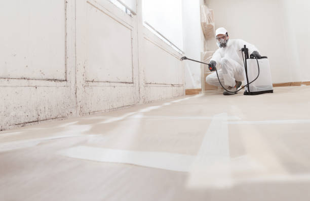 Black mold remediation team in Columbia